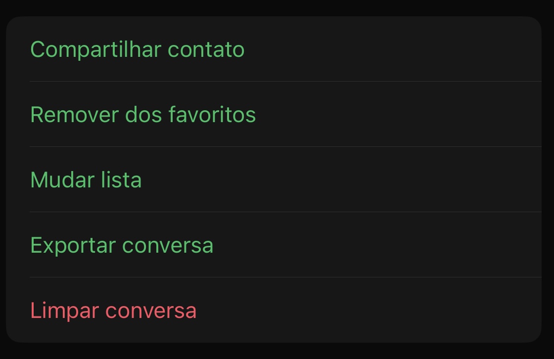 Passo 2: Clique em exportar chat